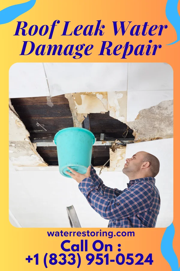 Roof Leak Water Damage Repair in Horizon City, TX